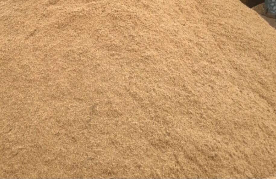 R-SAND