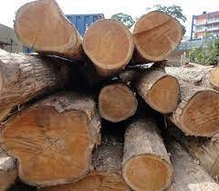 KONGU WOOD