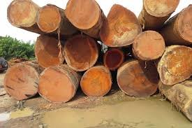 AFRICAN WOOD